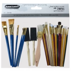 Lot de 25 pinceaux et brosses Artiste