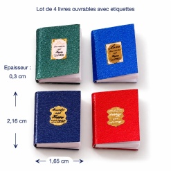Lot de 4 livres miniatures ouvrables vert bleu et rouge avec dimensions