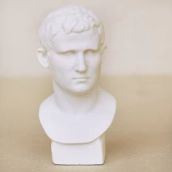 Buste en résine de " Agripa "