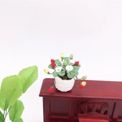 Alternative view of Fraisier en pot