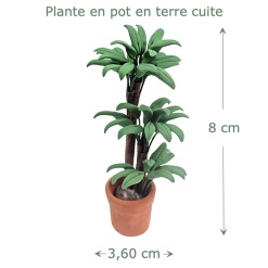 Plante miniature en pot 1/12e hauteur 8 cm largeur 3,60 cm