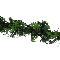 Guirlande de fougères