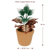Plante verte miniature en pot pour maison de poupée. Réalisme bluffant, feuillage coloré, pot en terre cuite. Avec dimensions