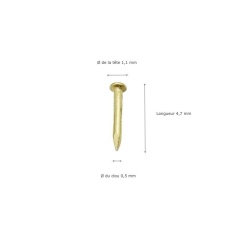 Alternative view of Clous 0,5 mm - Laiton