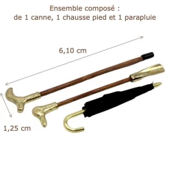 Alternative view of Canne, chausse-pied, parapluie