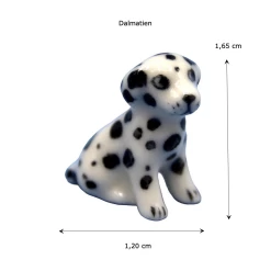 Alternative view of Chien dalmatien