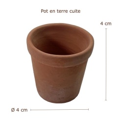 Alternative view of Pot en terre cuite