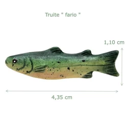 Alternative view of Poisson truite fario