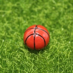 Alternative view of Ballon de basket