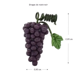 Alternative view of Grappe de raisin noir