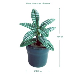 Alternative view of Plante verte en pot céramique