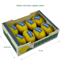 Alternative view of Melon miel dans une cagette carton