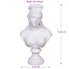 Miniature du buste de Vénus, parfait pour maisons de poupée à l'échelle 1:12, ajoutant une touche de beauté antique