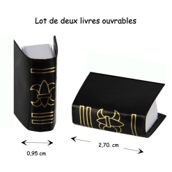 Livres miniatures ouvrables en noir avec motifs dorés pour maison de poupée.