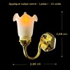 Applique tulipe en verre 12 volts — vue principale avec dimensions