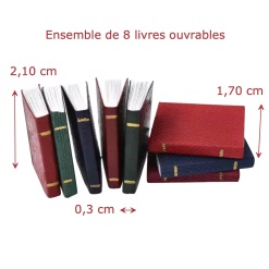 Ensemble de huit livres ouvrables miniatures en papier et carton vue principale avec dimensions