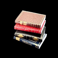 Lot de 4 livres miniatures vue principale