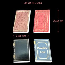 Lot de 4 livres miniatures vue principale livre à plat avec dimensions