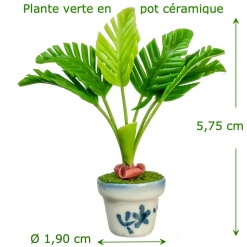 Plante en pot céramique — vue principale avec dimensions