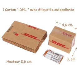 carton miniature DHL avec étiquette autocollante dimensions 1/12 livré déplié