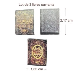 dimensions lot de 3 livres décor miniature 1/12e série 3