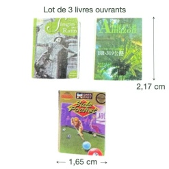 dimensions livres miniature 1/12e ouvrables