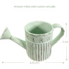 Dimensions de l’arrosoir miniature vert pâle en métal vieilli