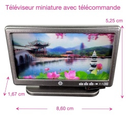 Téléviseur écran plat avec télécommande dimensions 1/12e