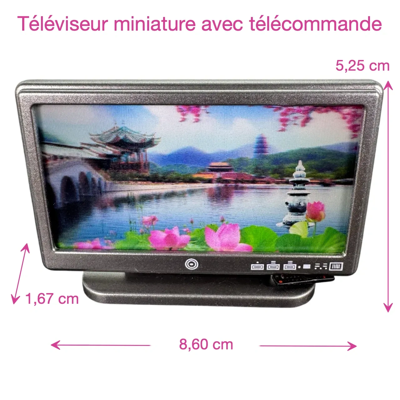 Téléviseur écran plat avec télécommande dimensions 1/12e